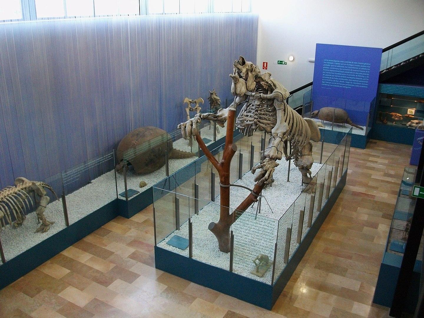 Фото Музей естественных наук