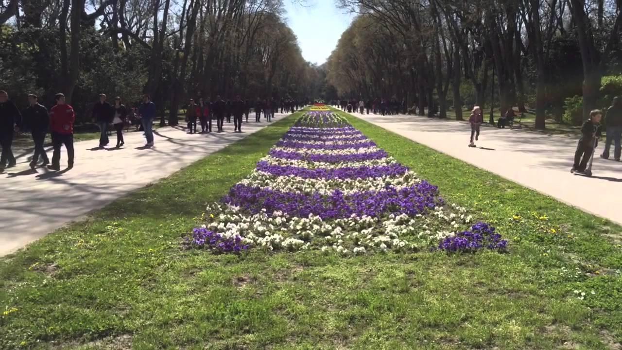 Приморский парк победы сакура. Приморском парке Варны. Приморский парк Победы Сакура на карте. Приморский парк Победы Сакура где находится.