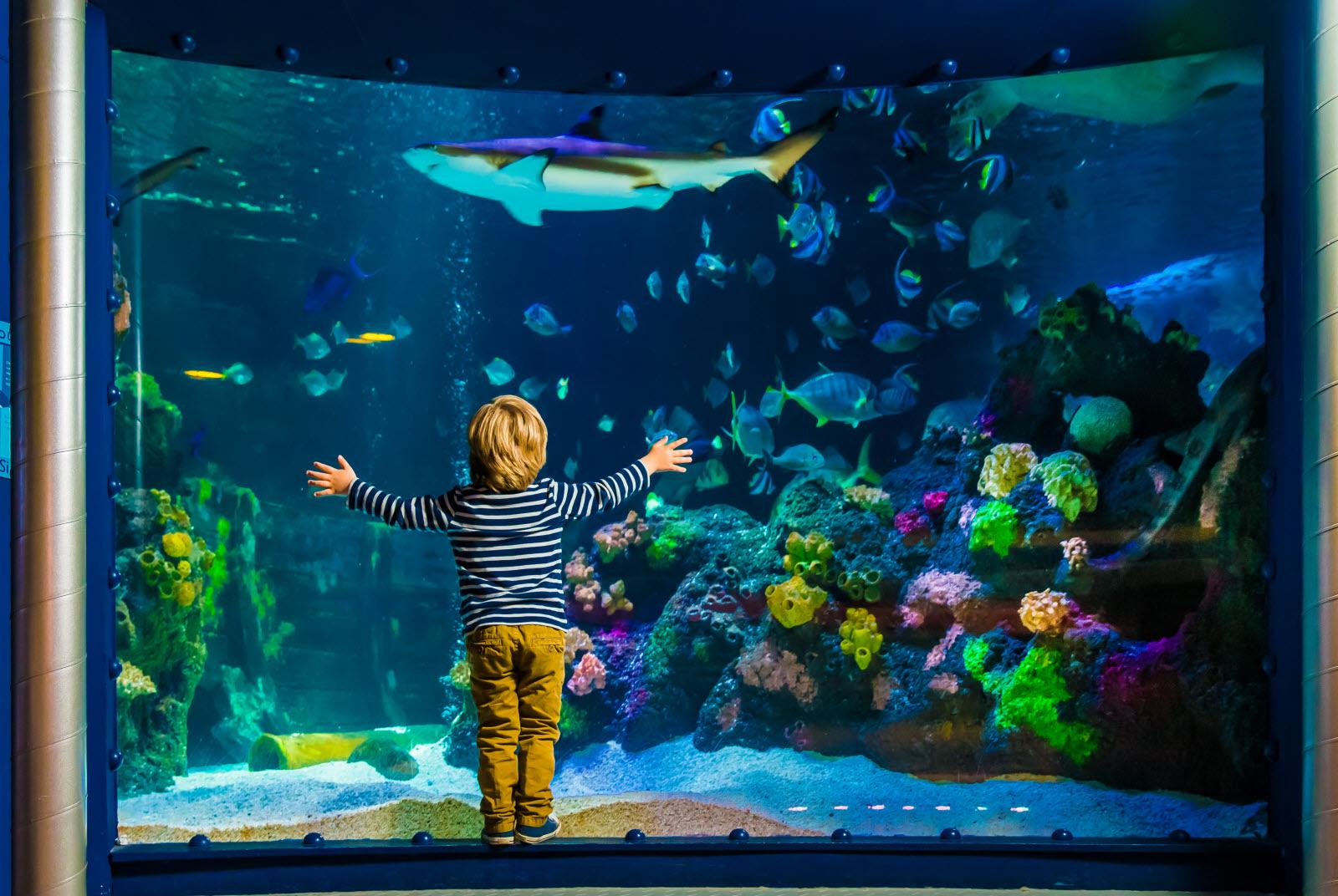 Хельсинки - Морской центр Sea Life | Турнавигатор