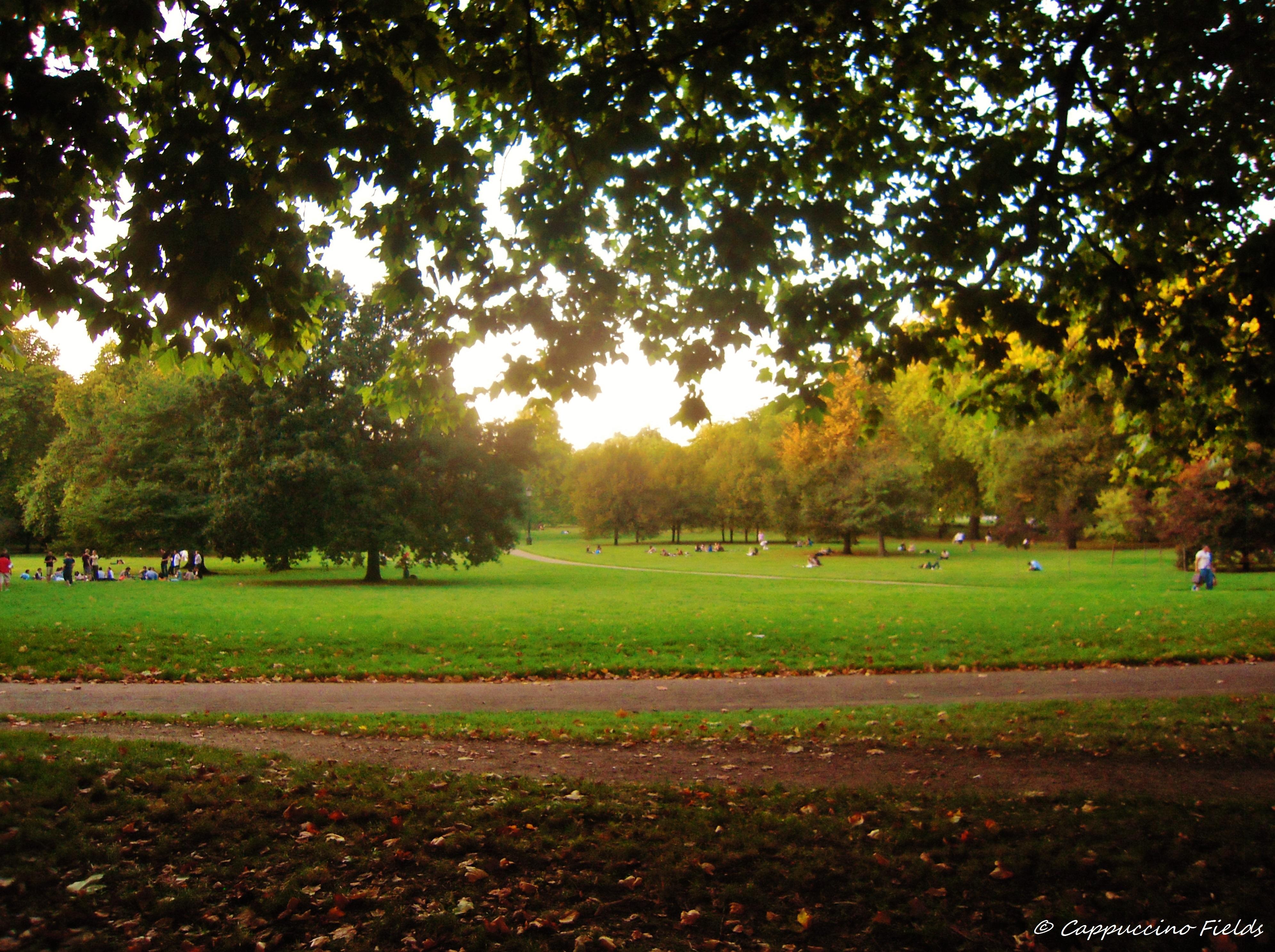 Зеленый лондон. Грин парк Лондон. Парк Грин парк в Лондоне дуэли. Green Park London сейчас. Грин парк СПБ.