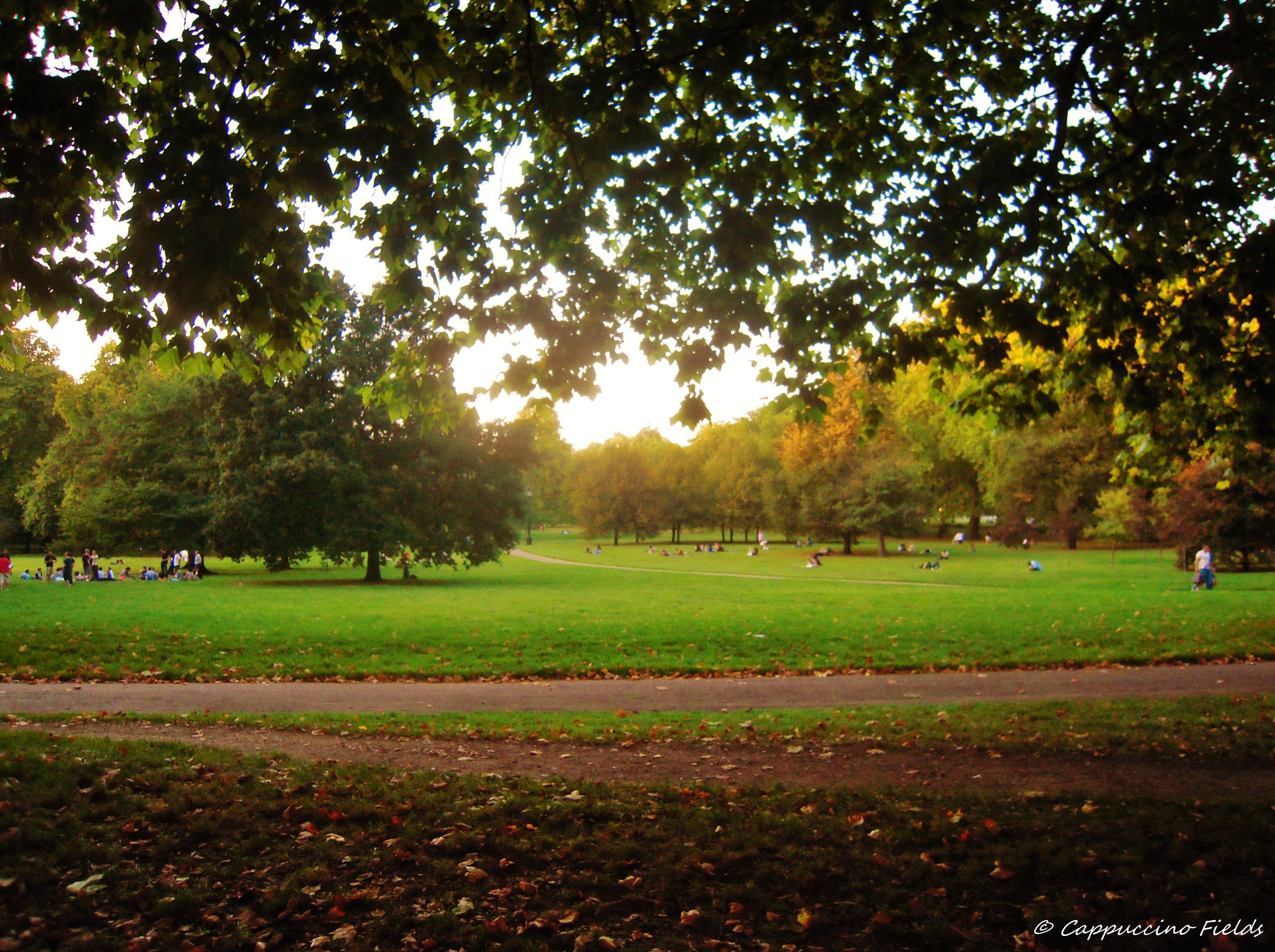 Парк green park. Грин парк Лондон. Green Park London сейчас. Грин парк СПБ. Грин парк Лондон autumn.