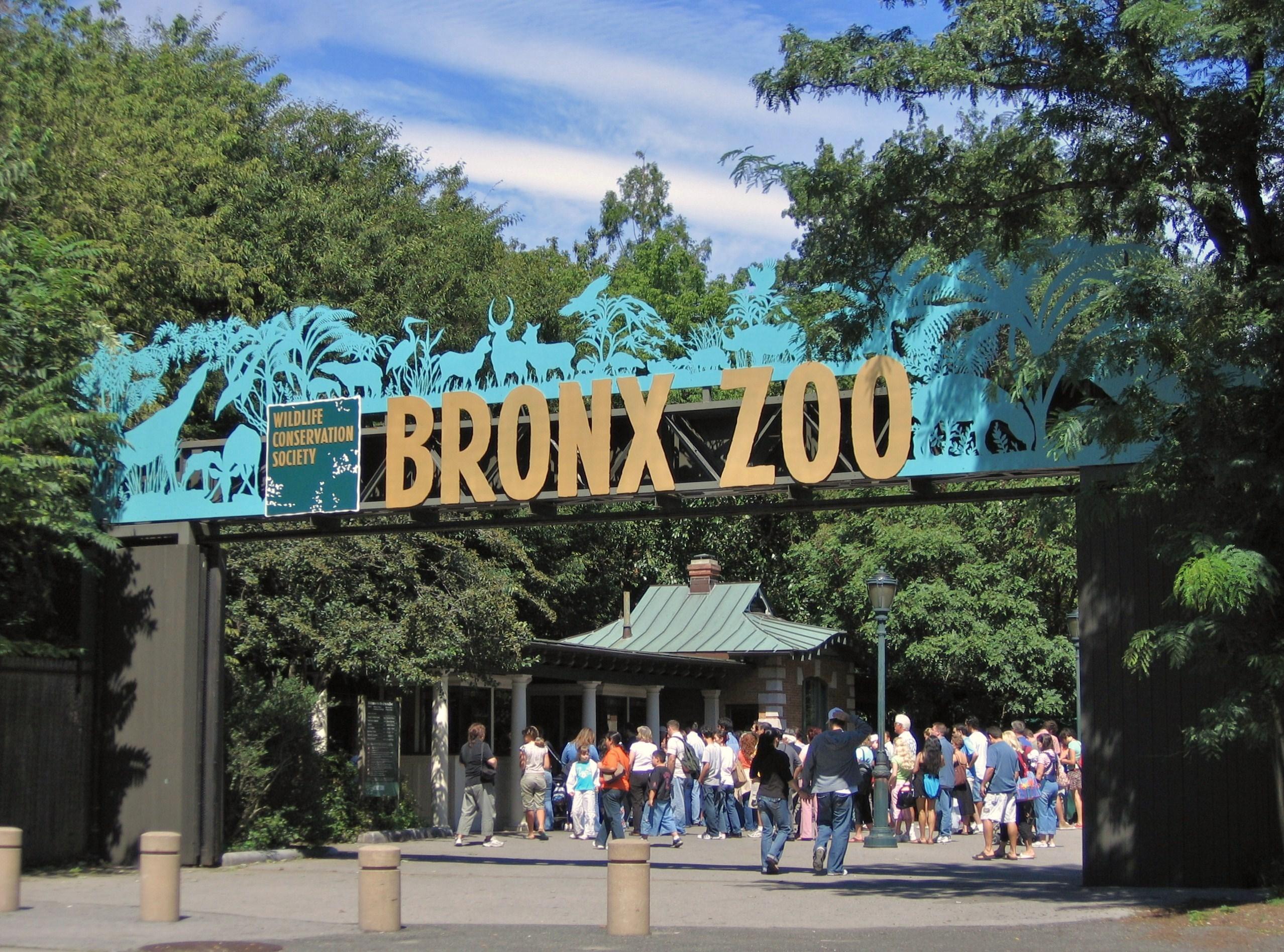 Фото Зоопарк Бронкса