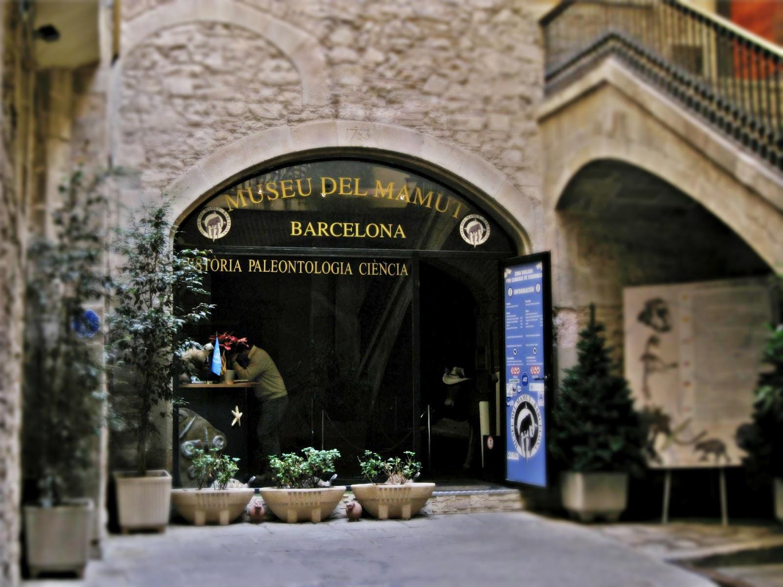 Фото Музей ма́монта в Барселоне