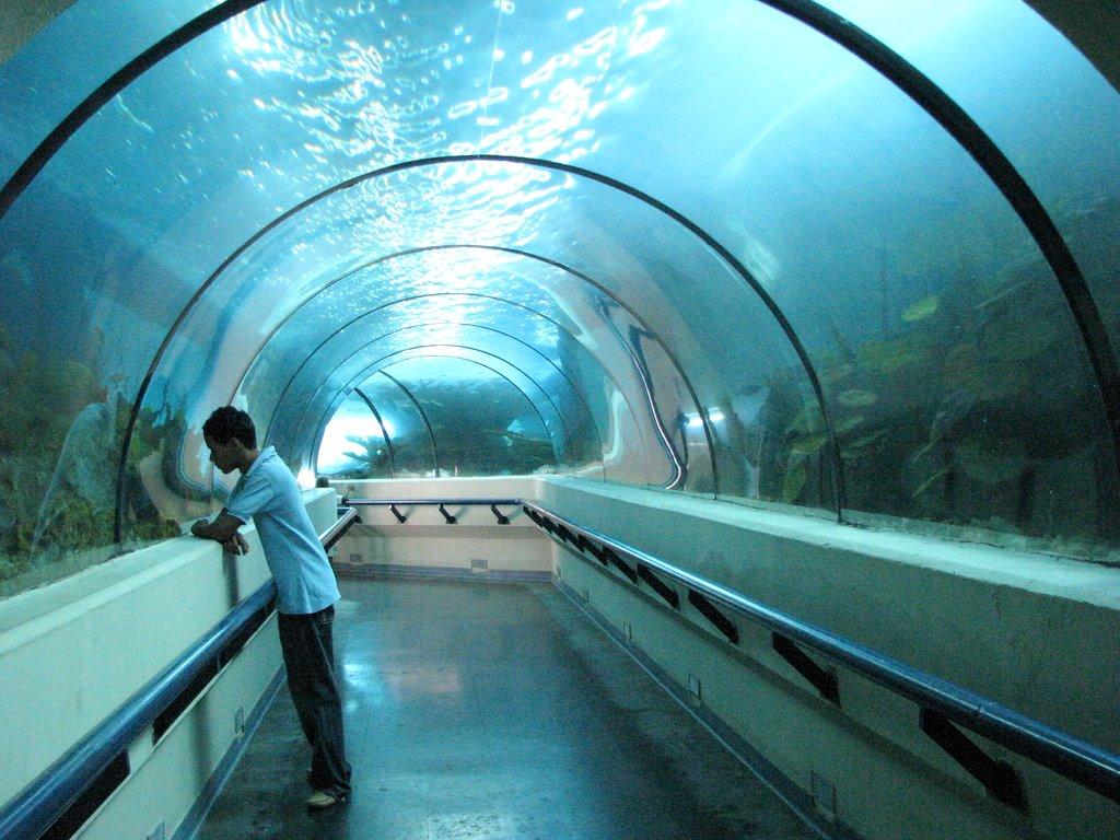 Национальный аквариум Санто-Доминго