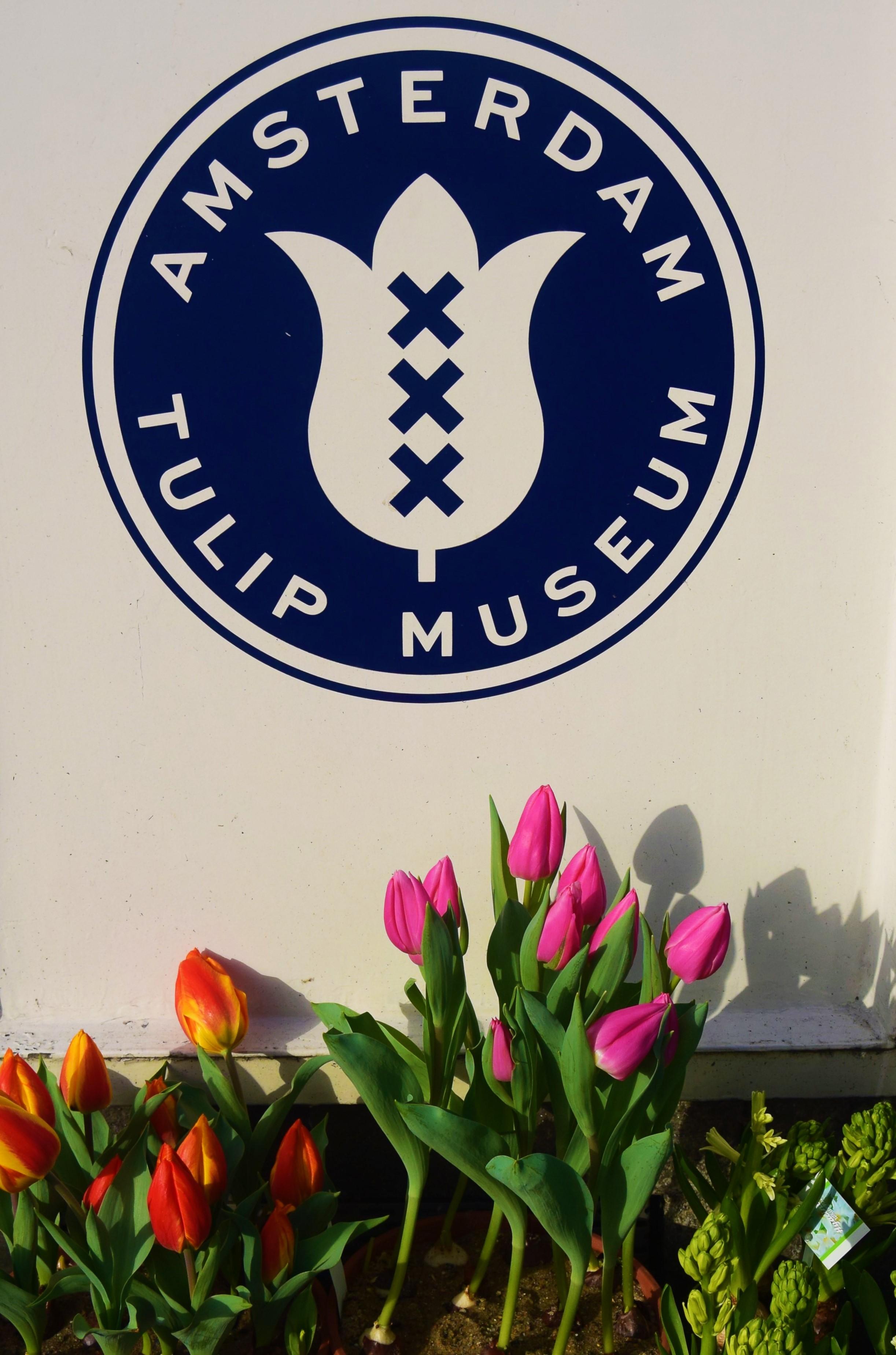 Музей тюльпанов