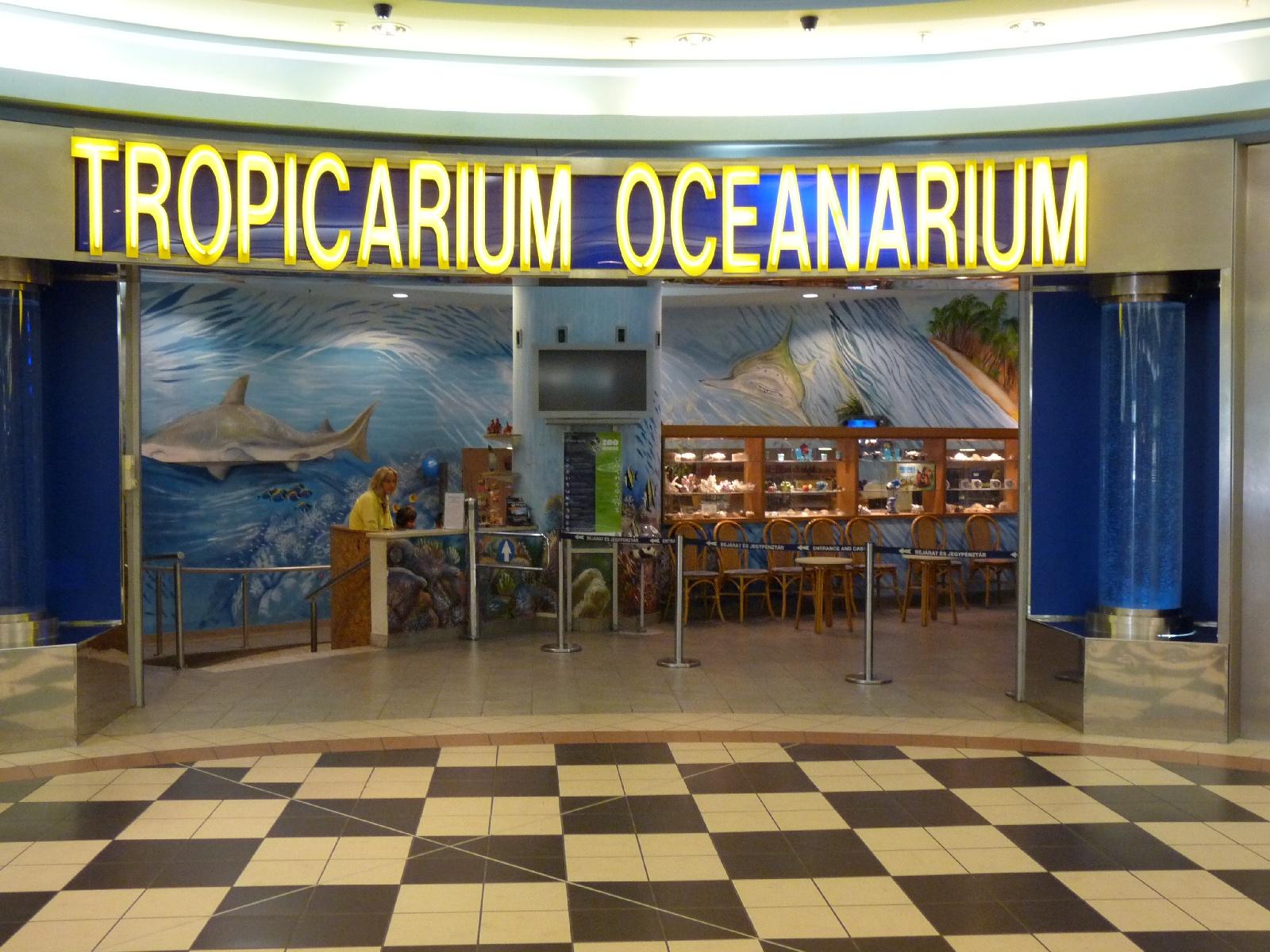 Фото Океанариум-Тропикариум