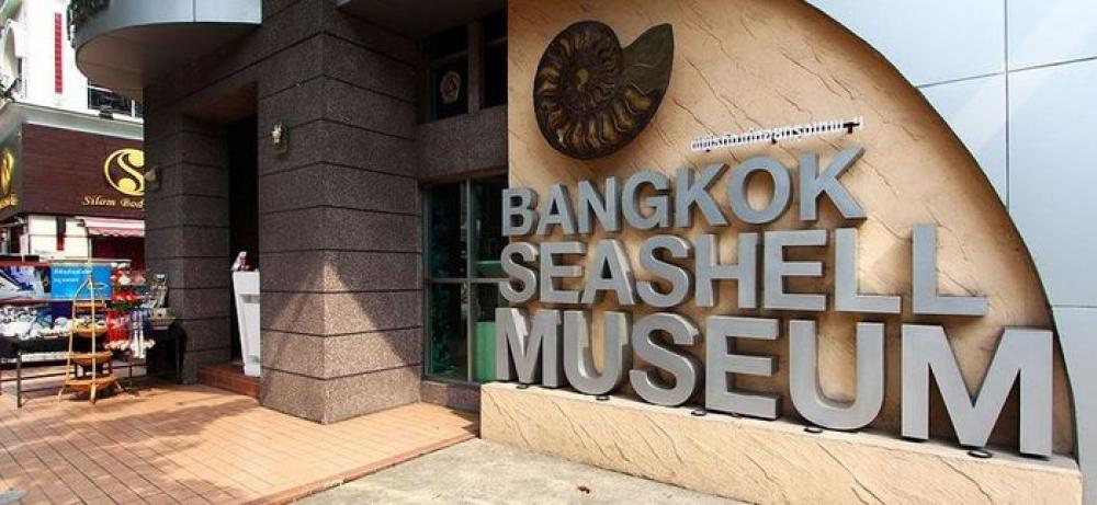 Музей морских раковин