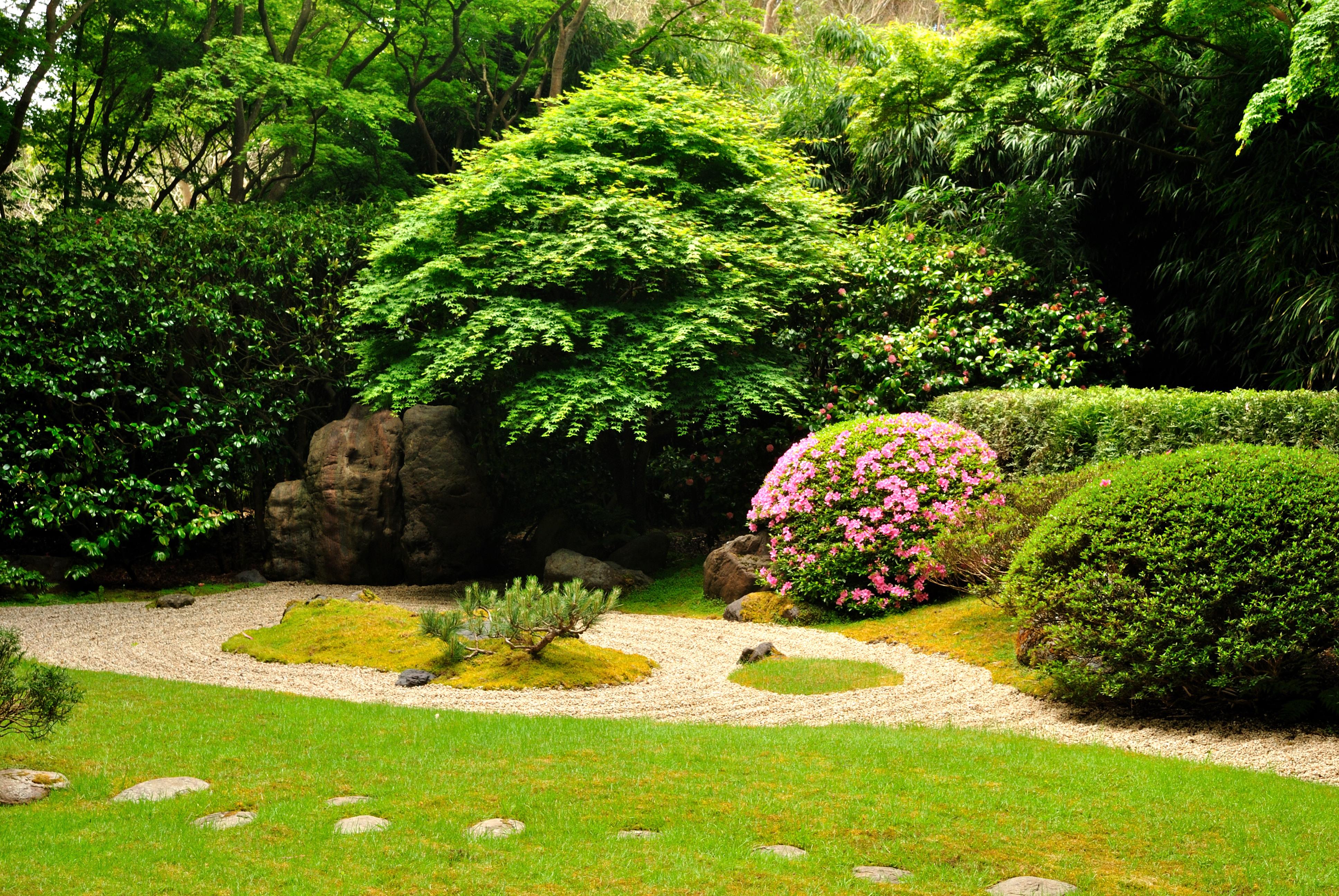 Фото Японский Чайный Сад