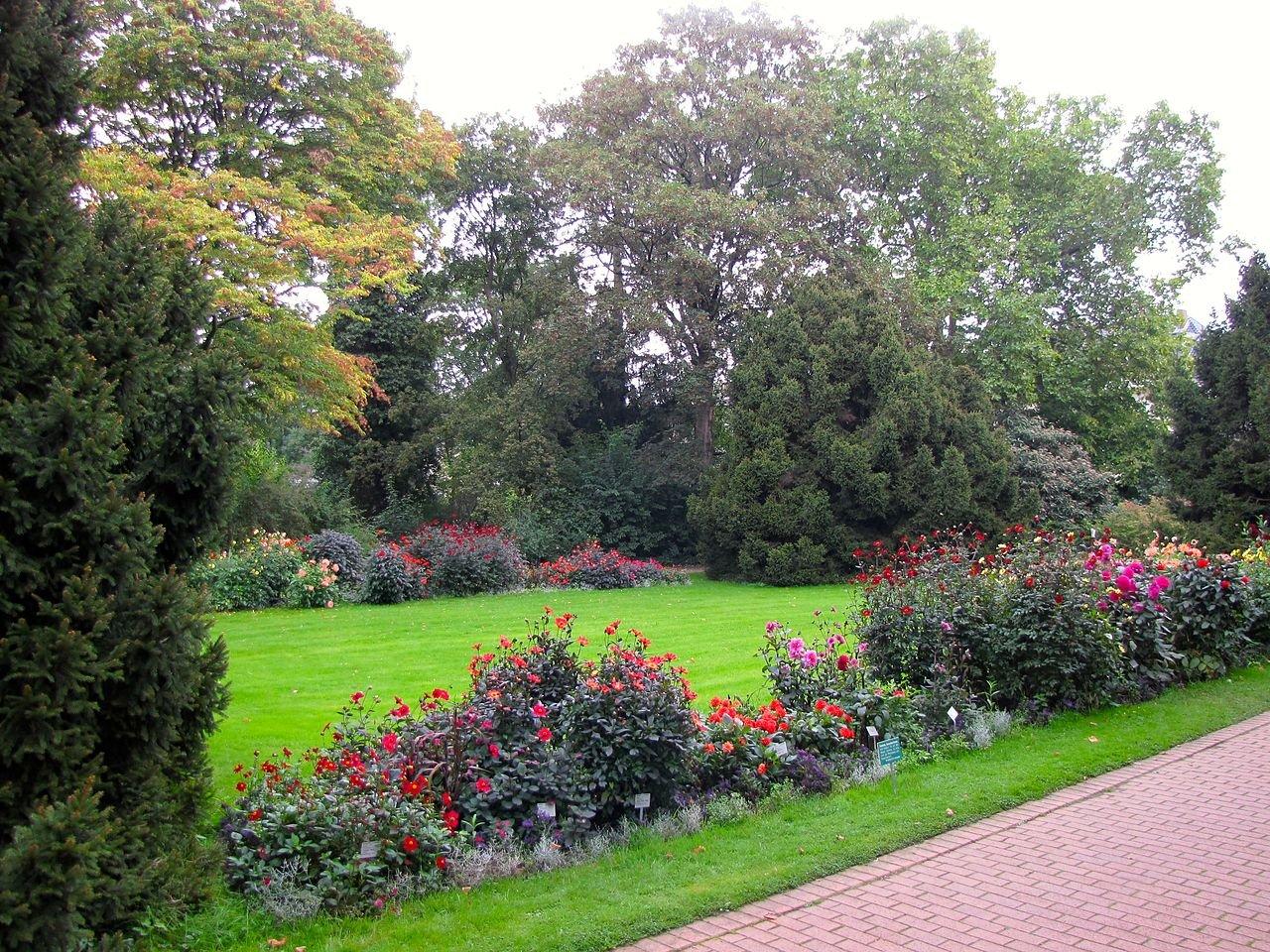 Ботанический сад "Флора"
