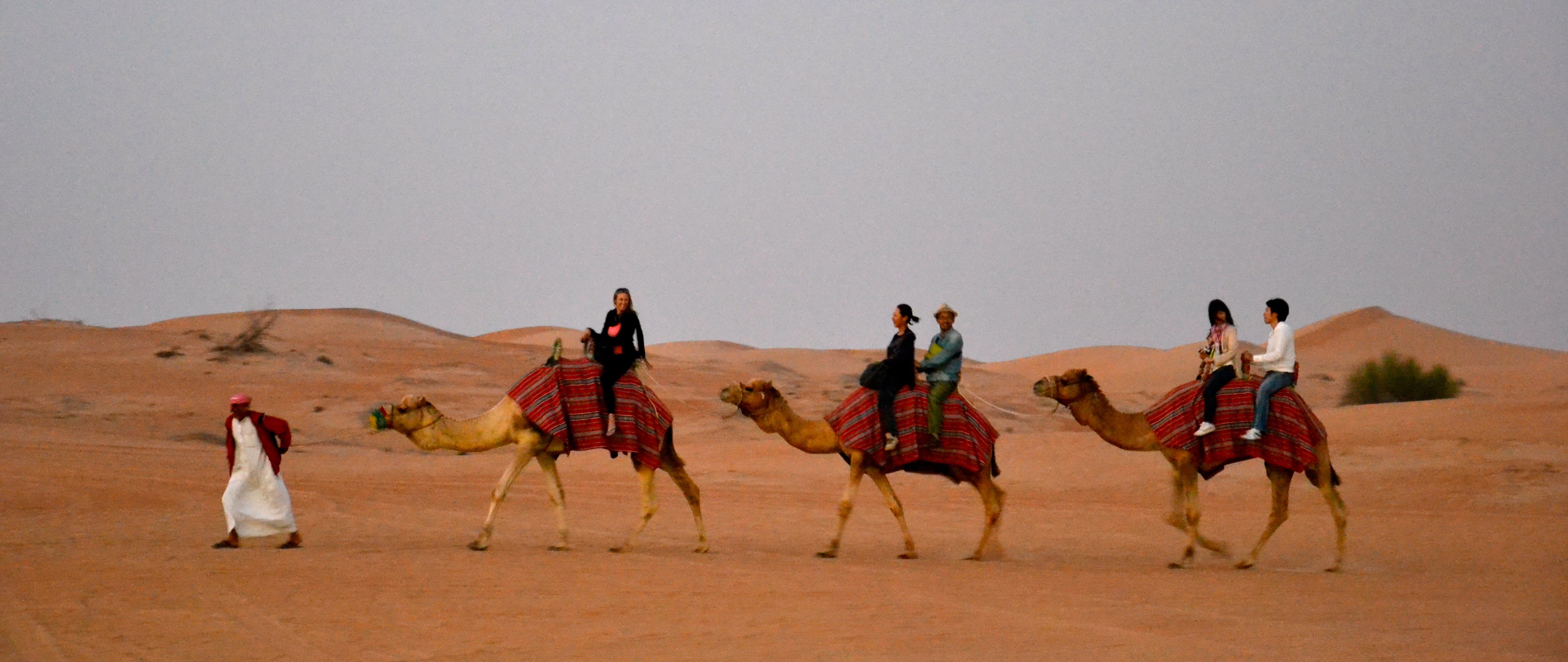 Фото Дубайский пустынный заповедник