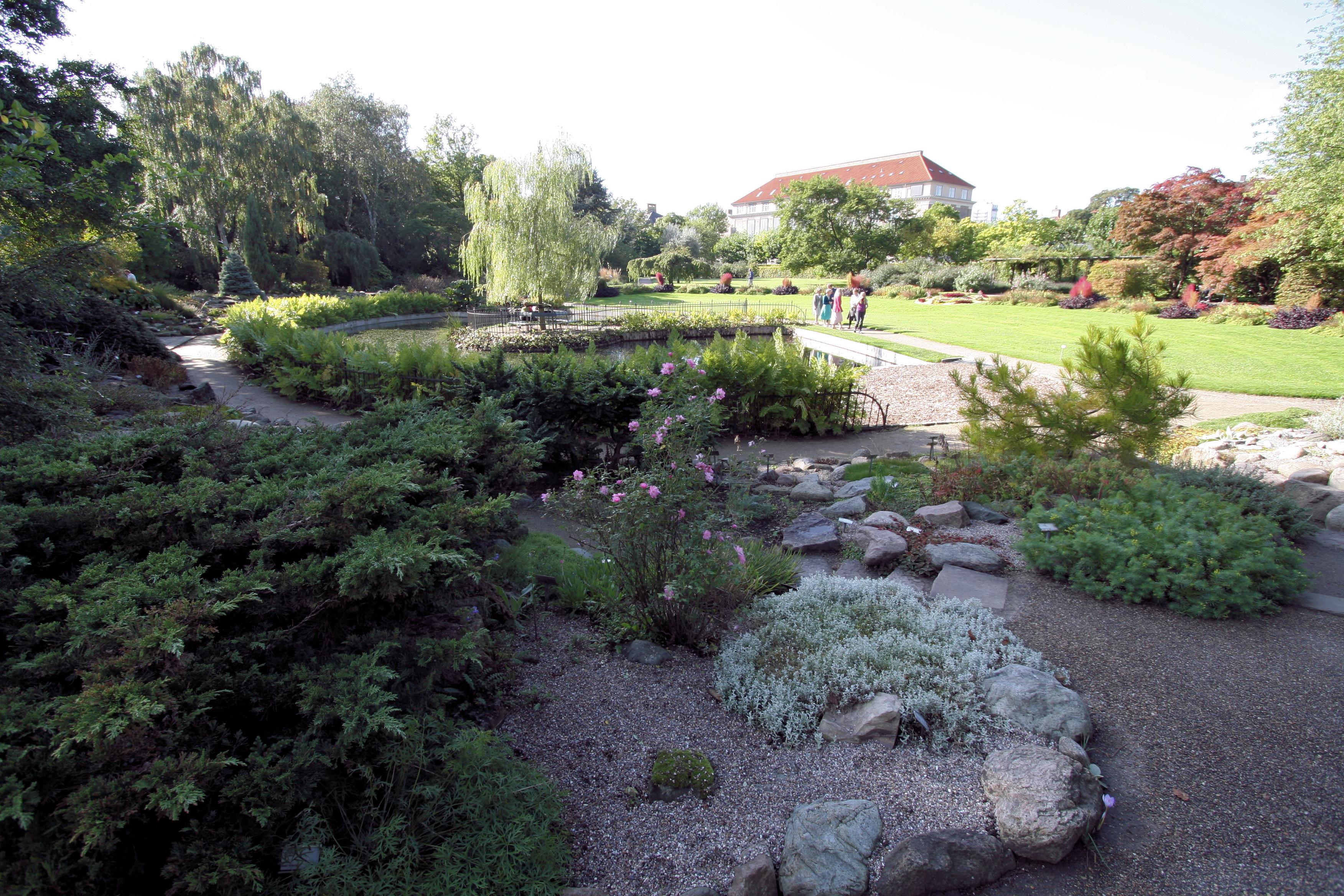 Фото Ботанический сад