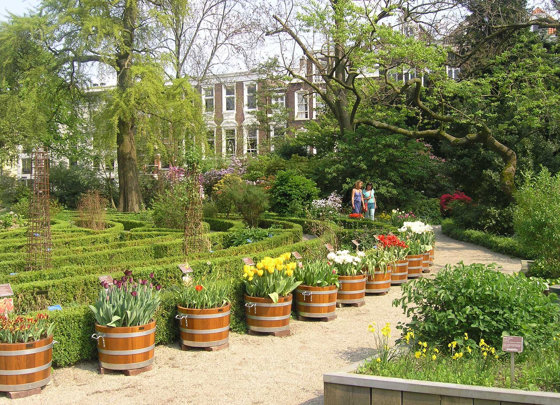 Фото Ботанический сад