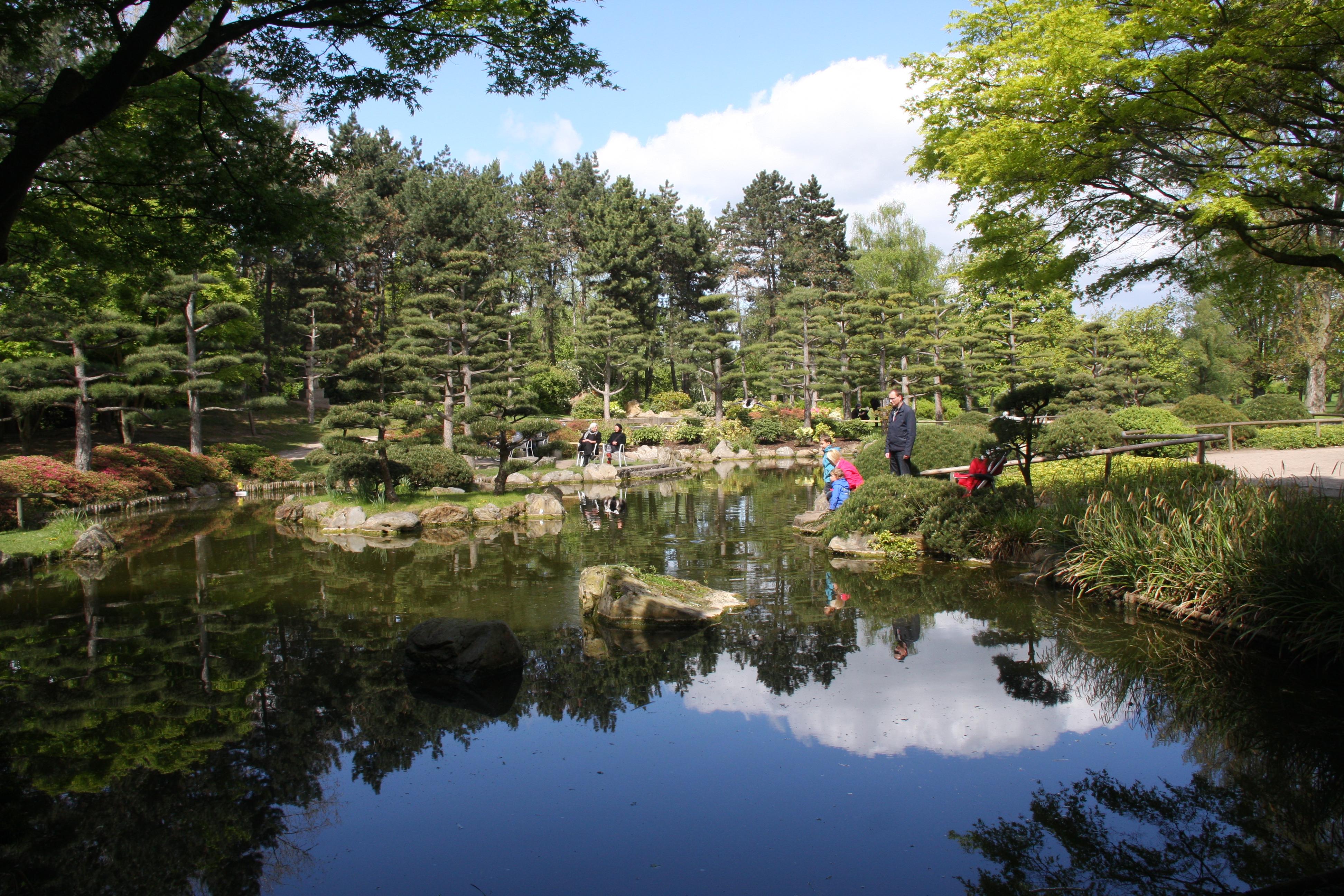 Фото Японский сад