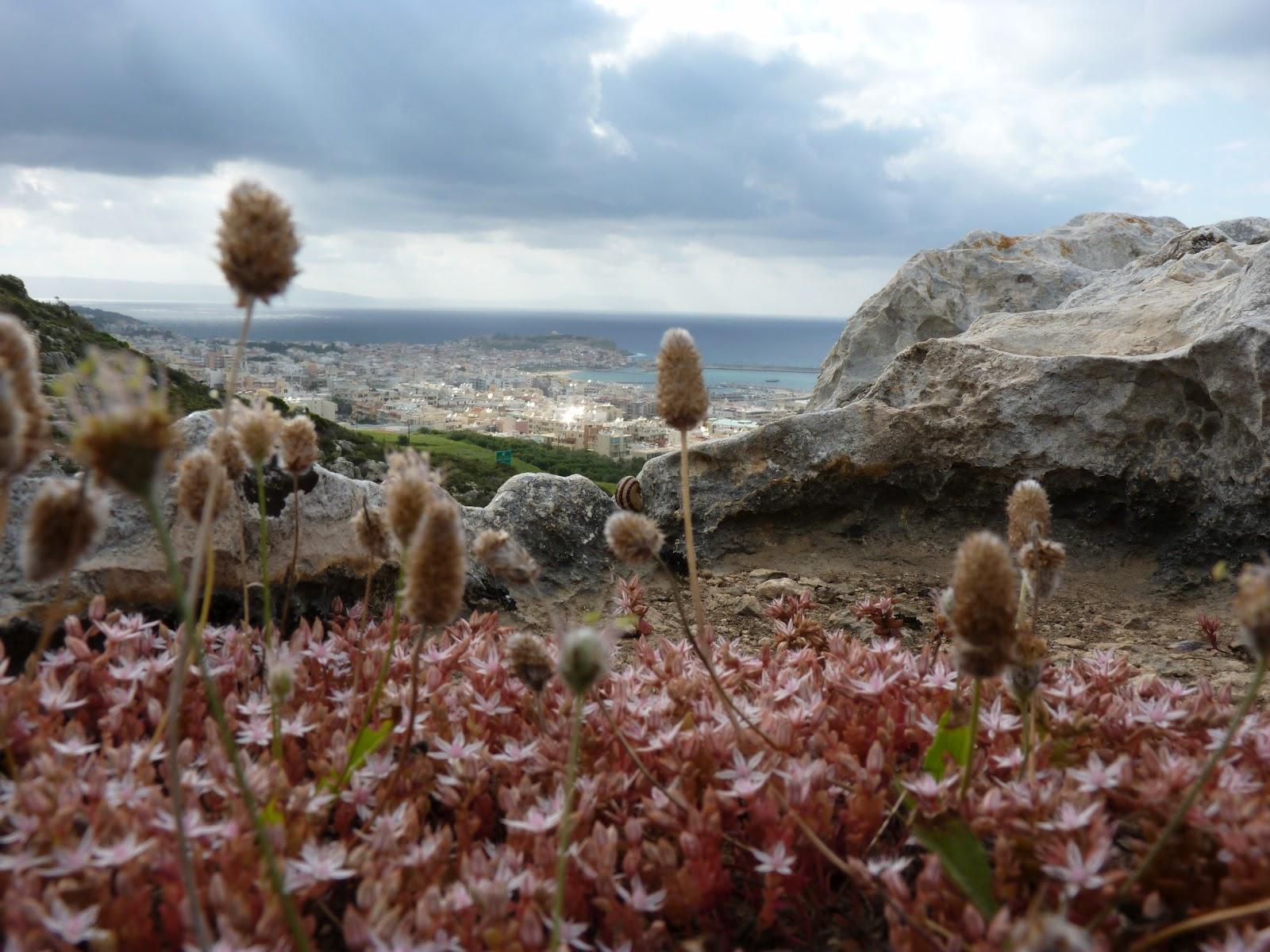 Природный парк "Среда обитания Крита"