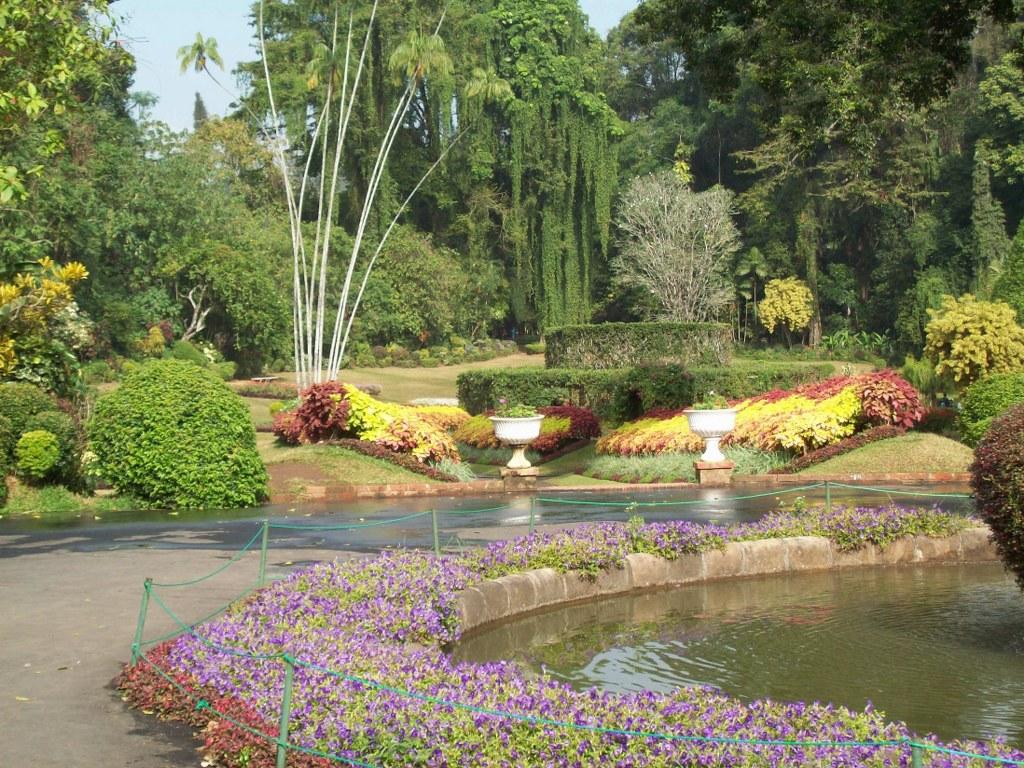 Перадения – королевский ботанический сад в Шри-Ланке | Peradeniya