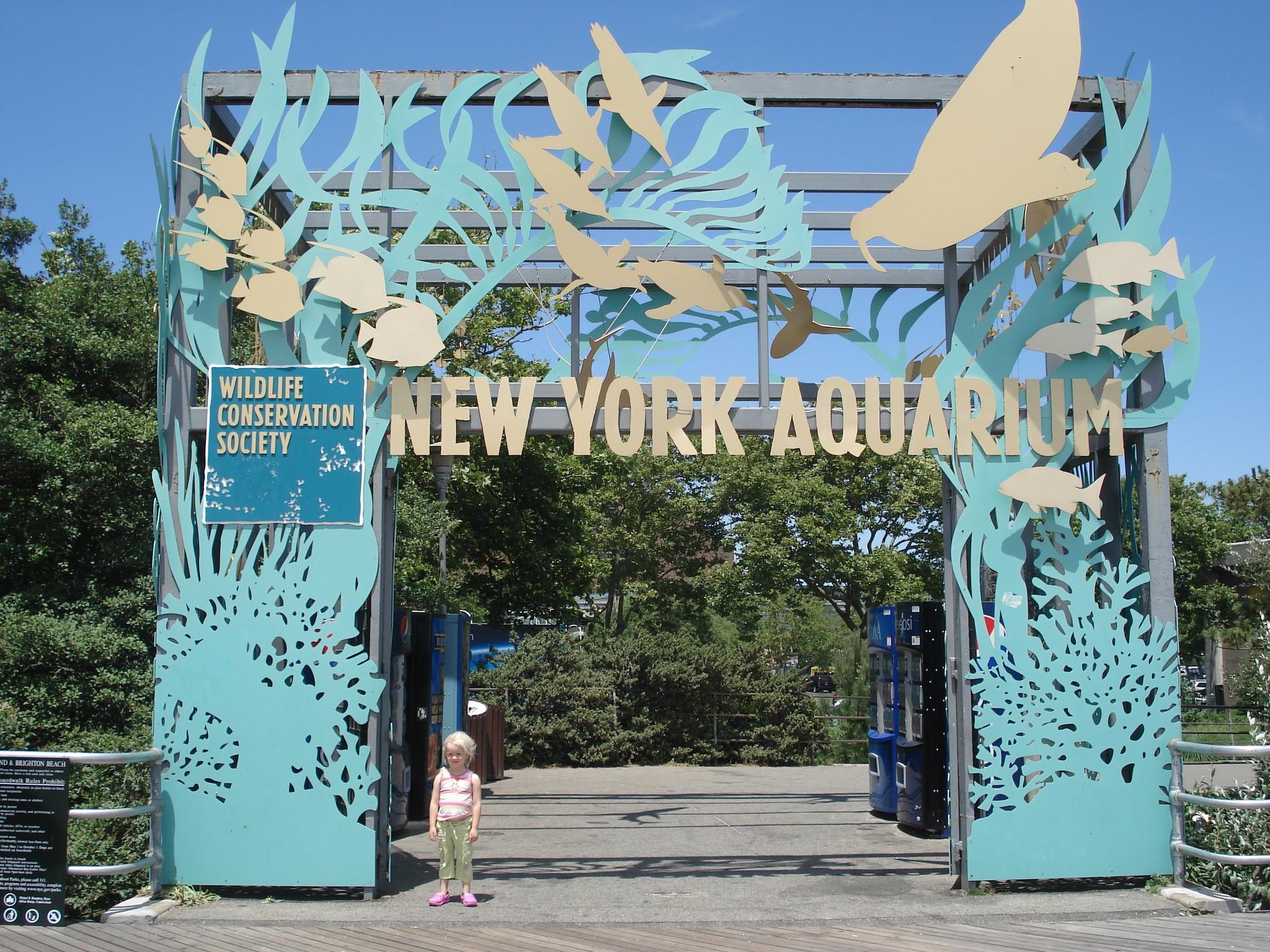 Фото Нью-Йоркский аквариум