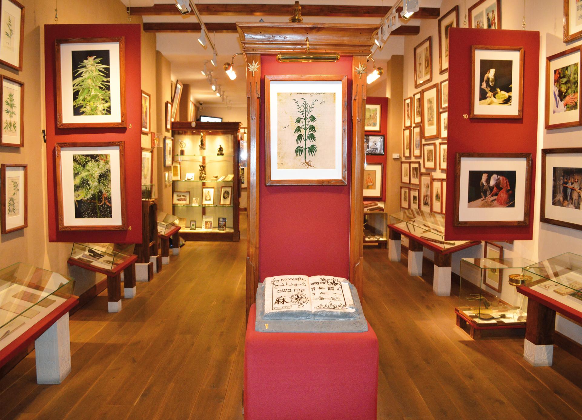 Музей марихуаны в амстердам медведев конопля