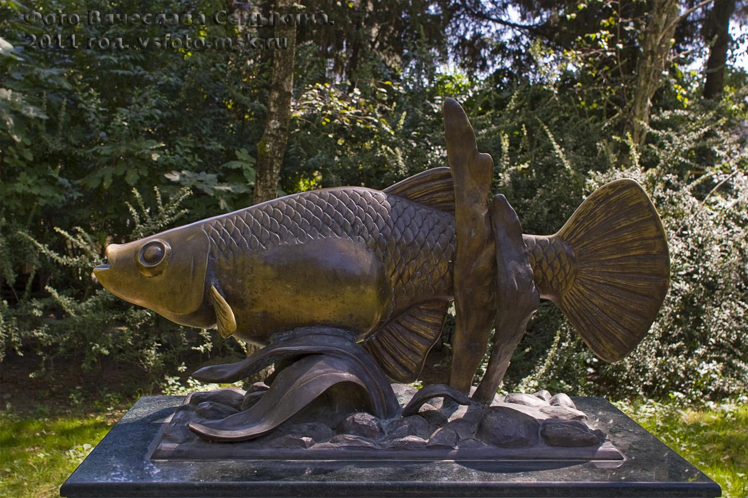 Фото Памятник рыбке Гамбузии