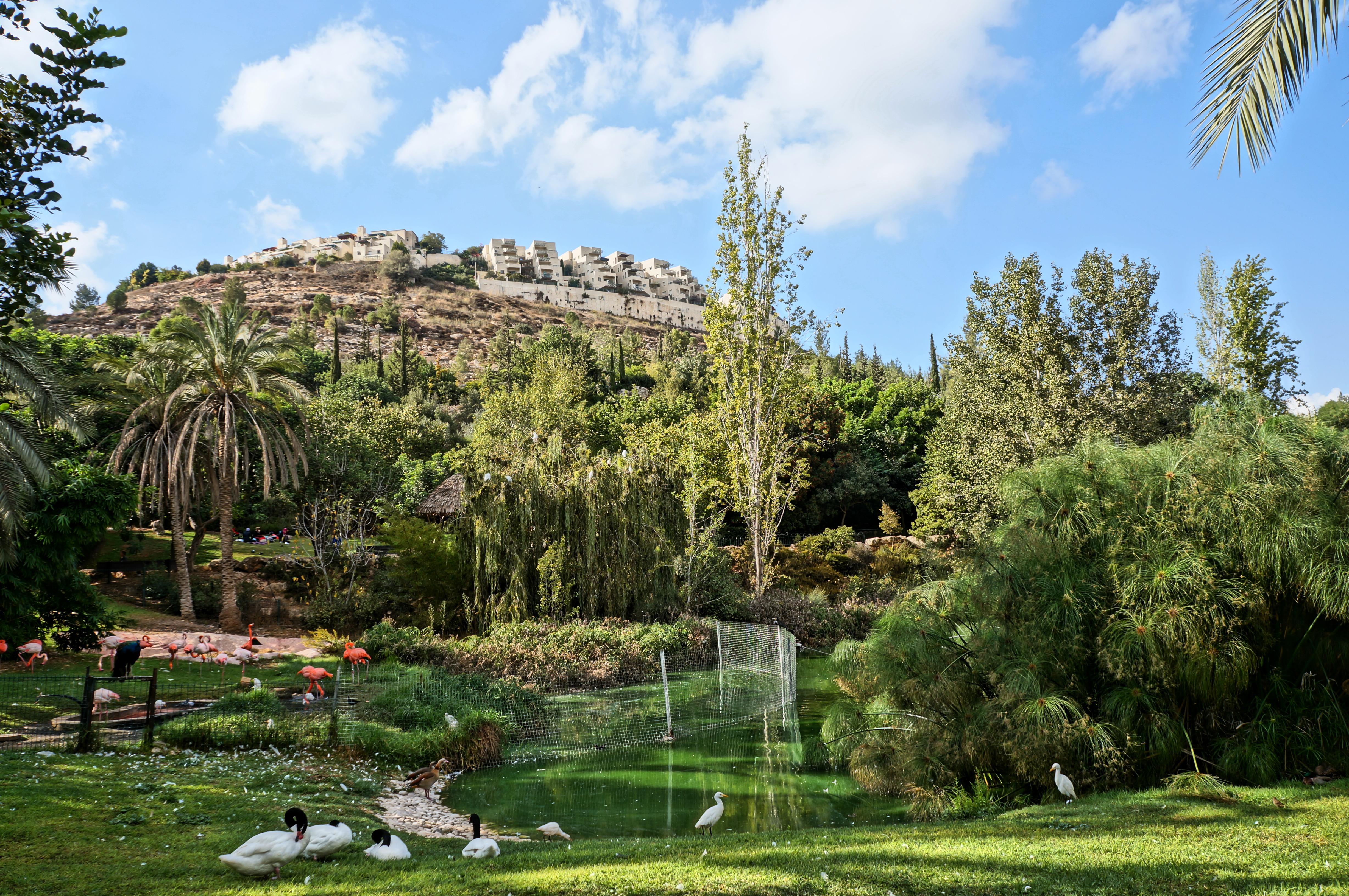 Иерусалимский библейский зоопарк