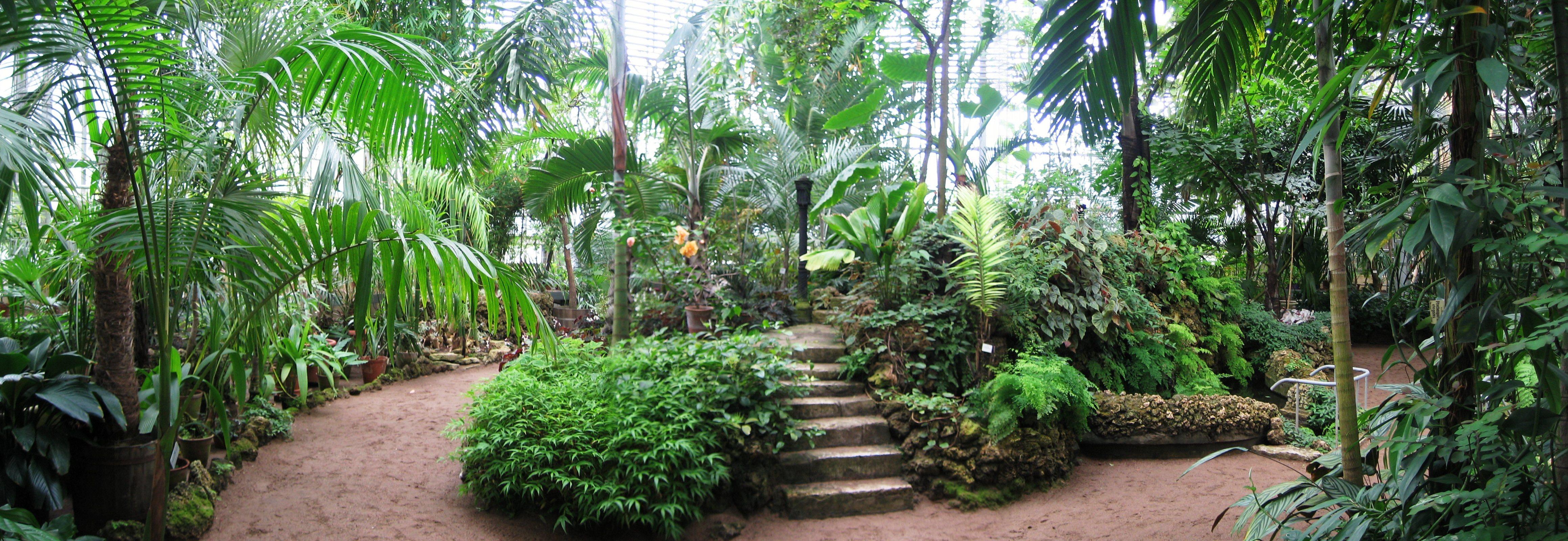 Ботанический сад тюмень фото