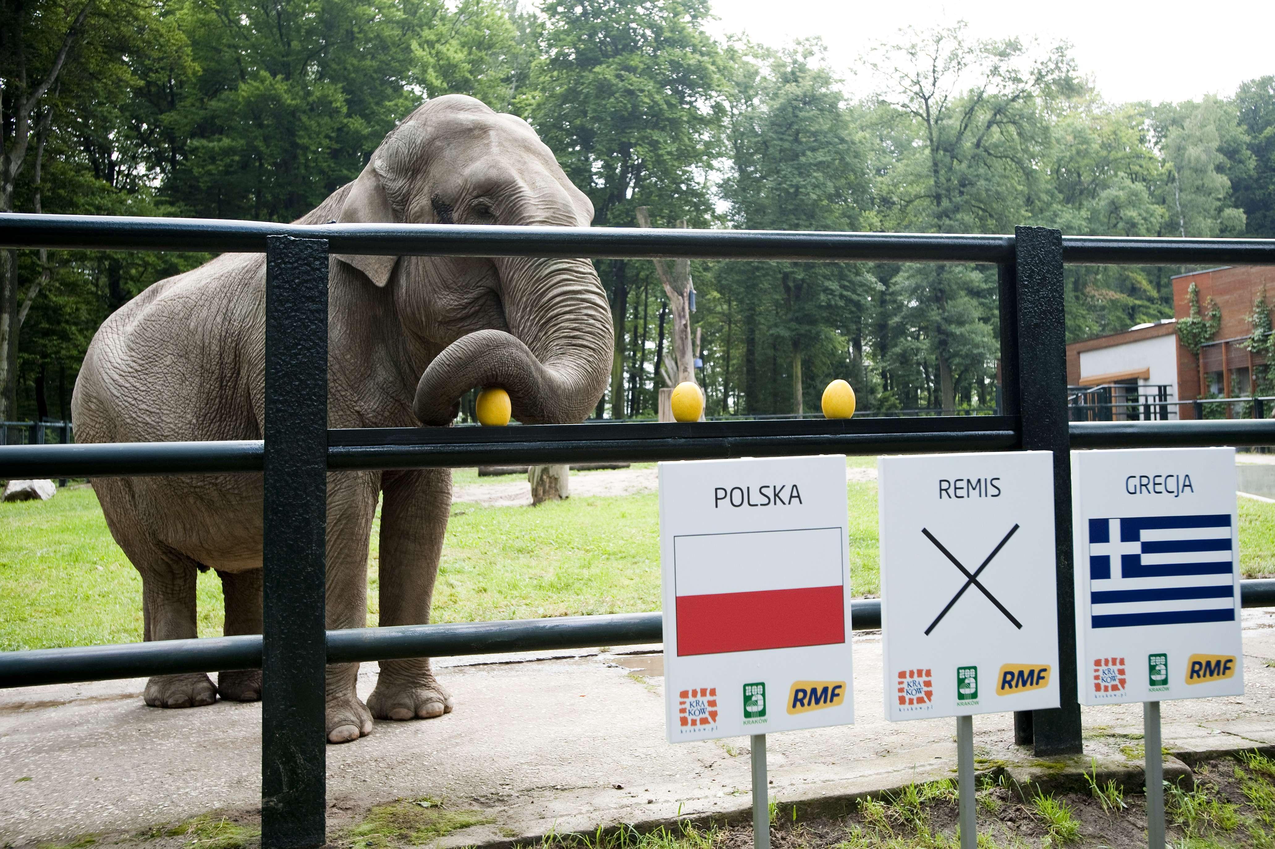 Фото Краковский зоопарк