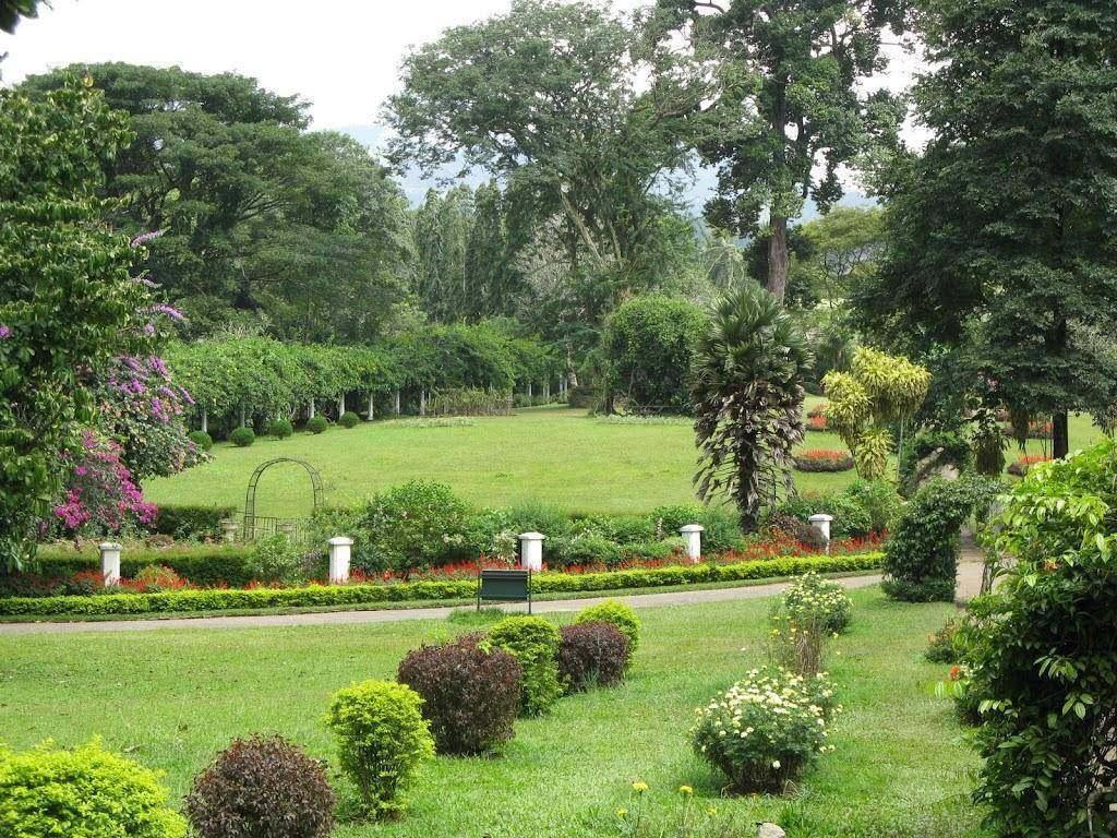 Фото Ботанический сад Хакгала