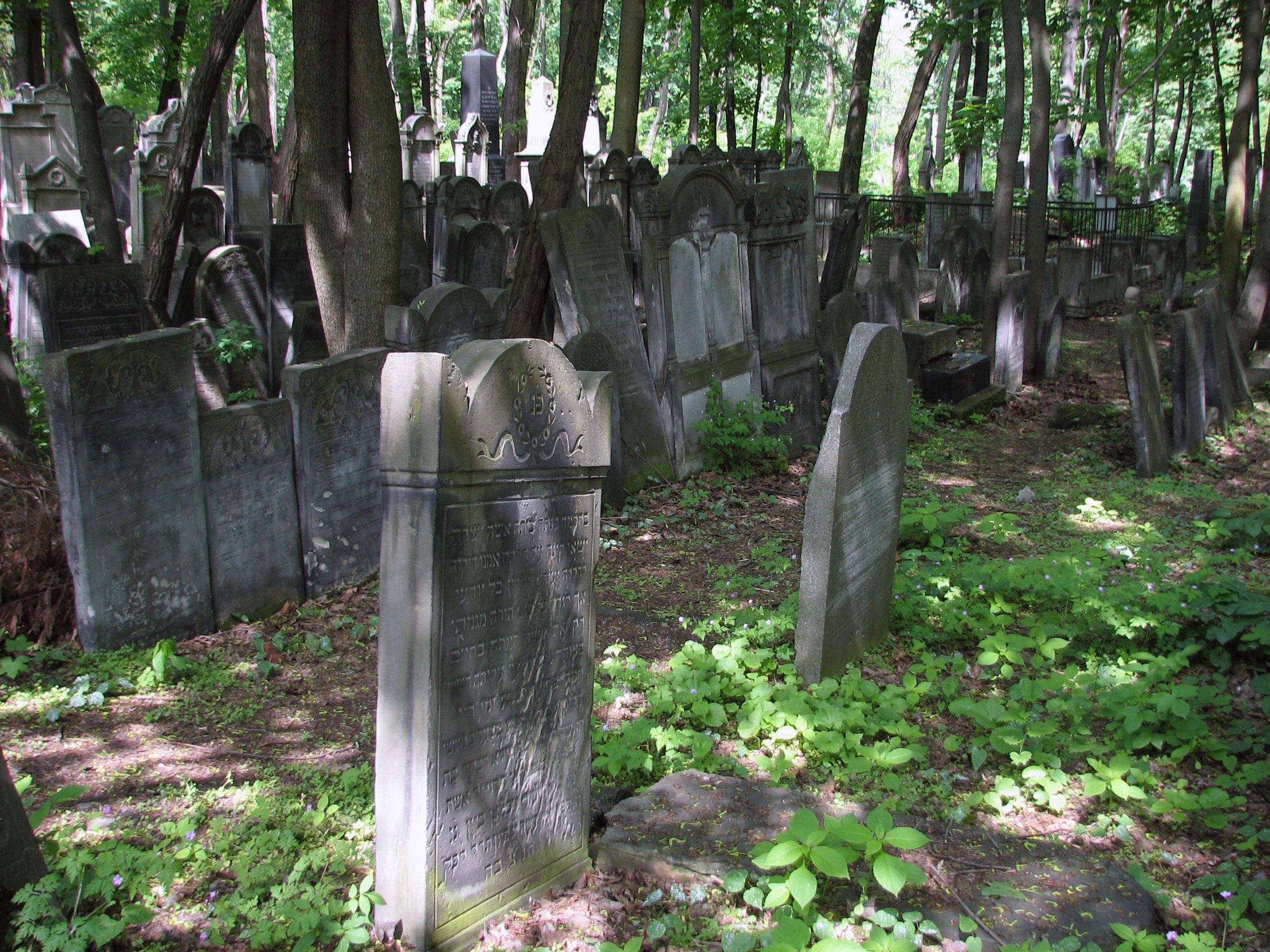 Фото Еврейское кладбище Варшавы