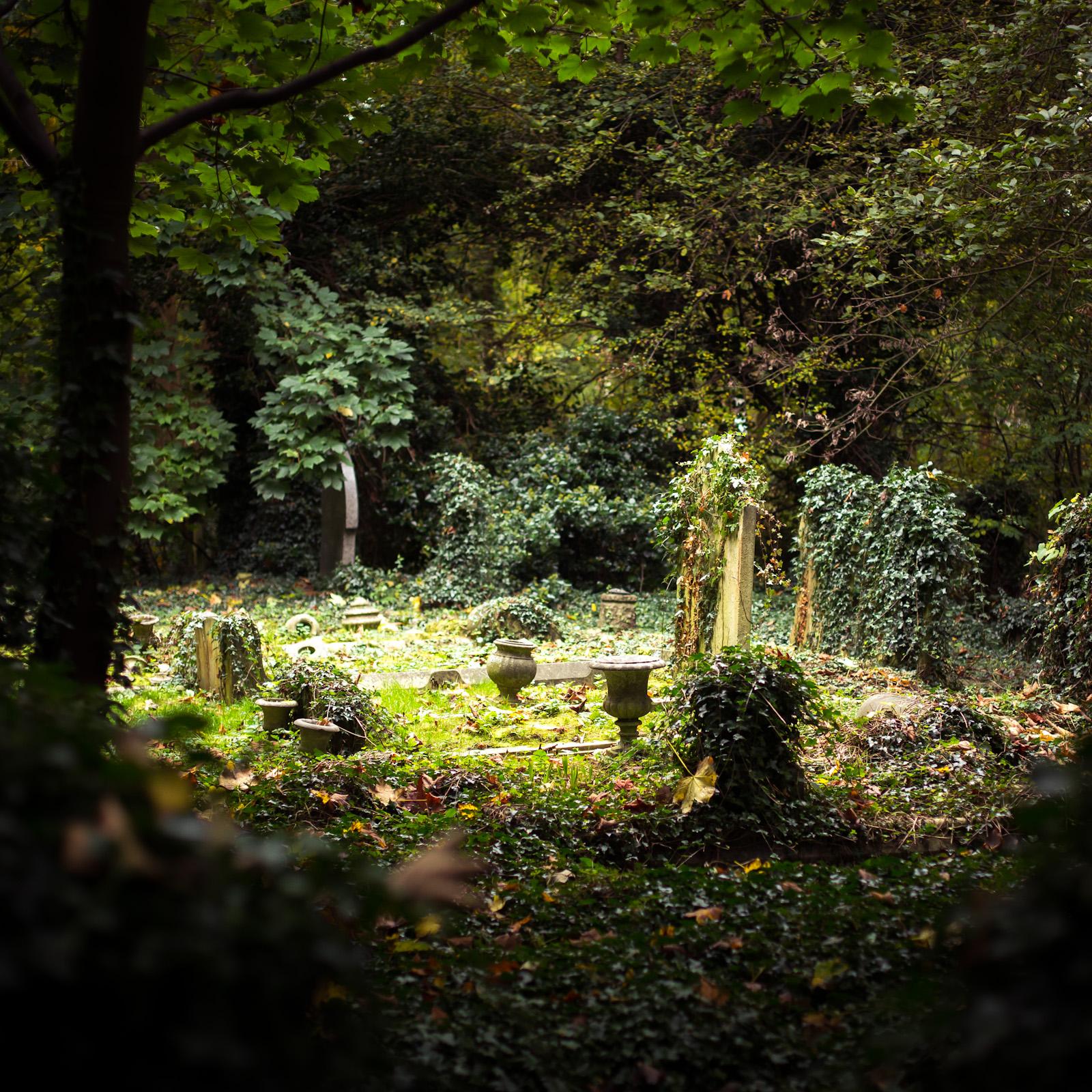 Фото Хайгейтское кладбище