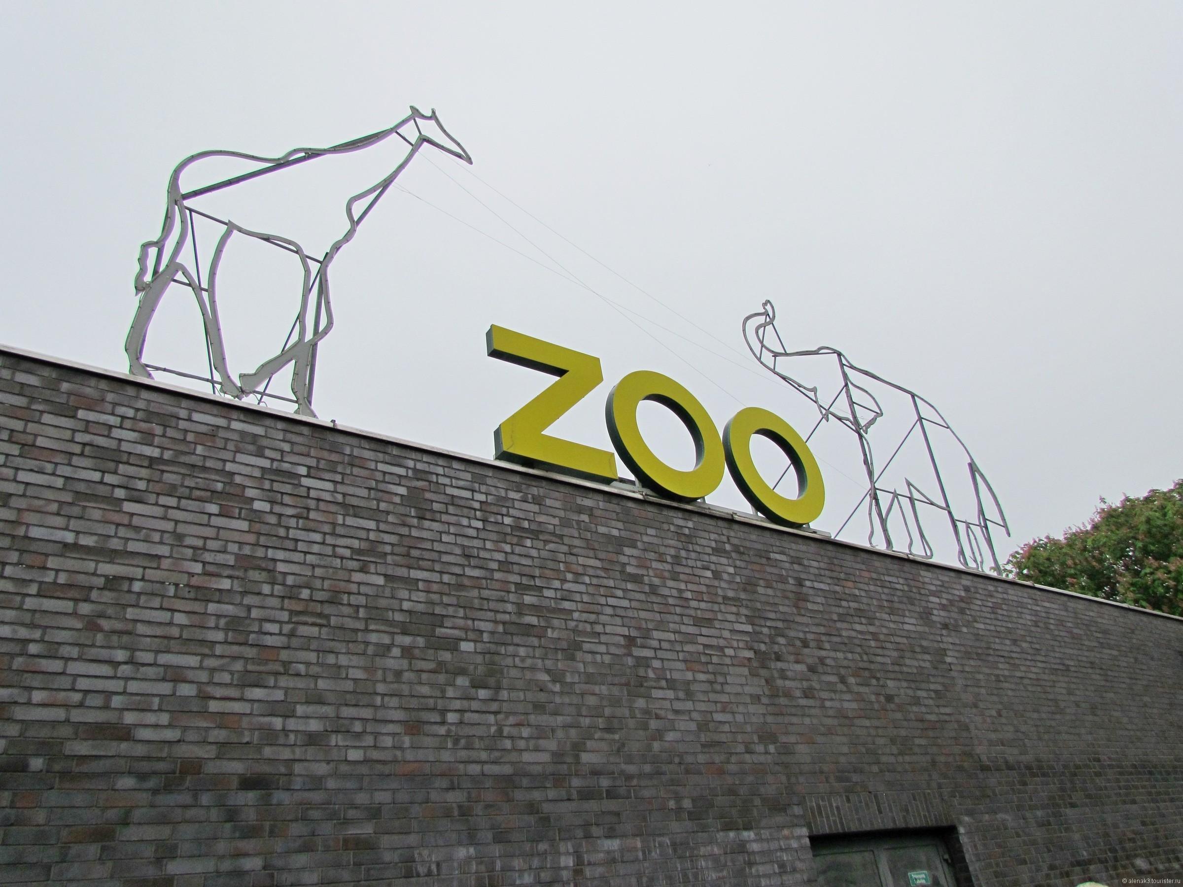Фото Кёльнский зоопарк