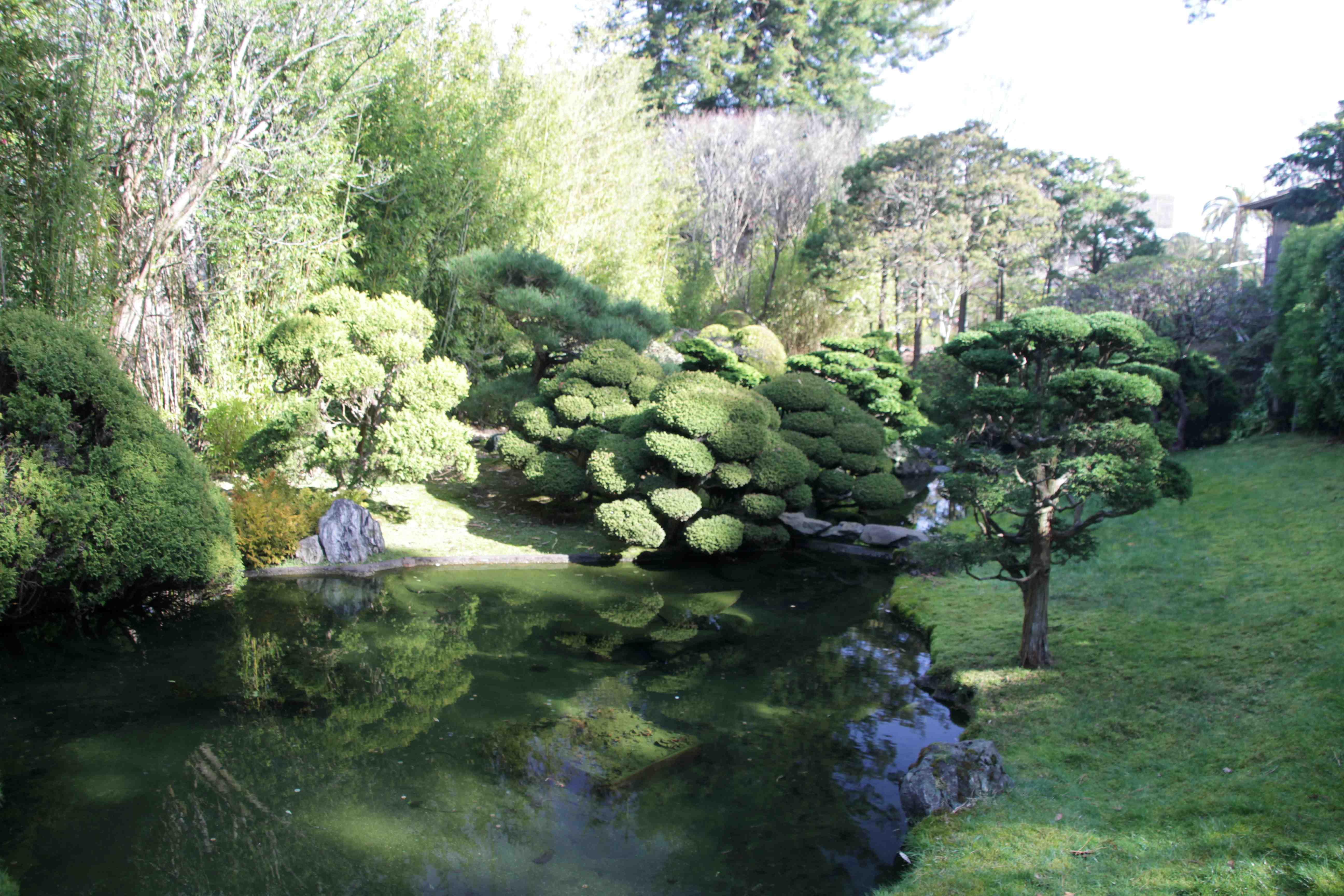 Фото Японский Чайный Сад