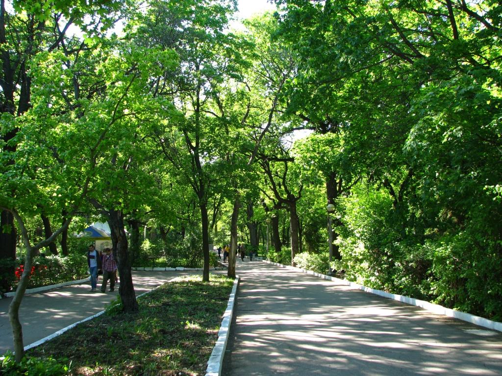 Фото Загородный парк в Самаре
