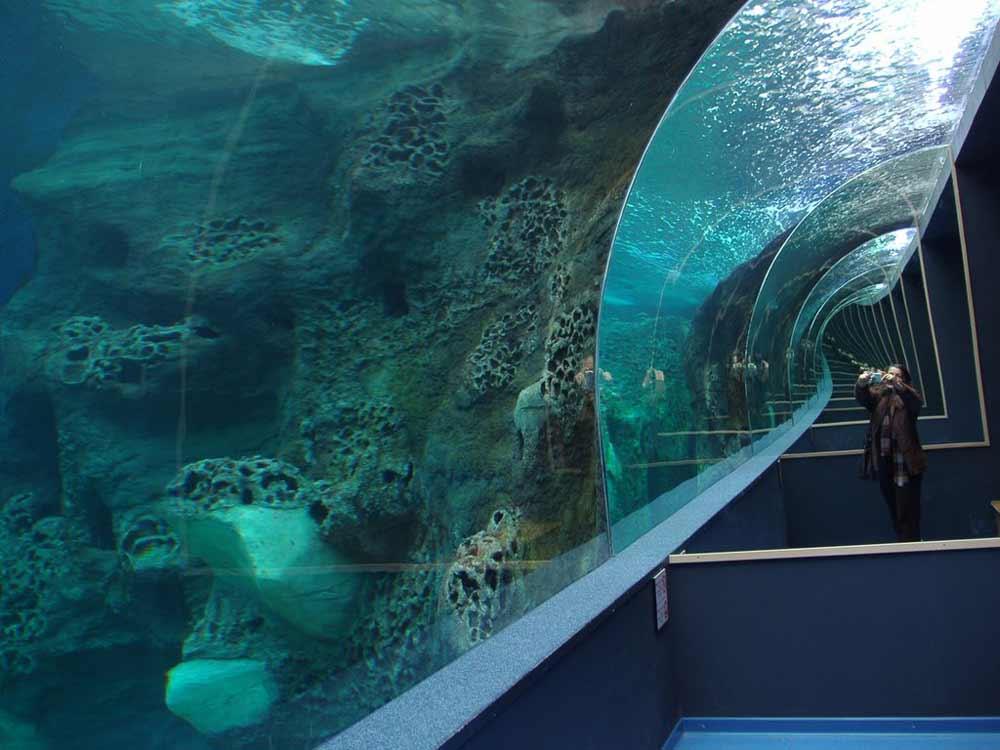 Фото Критский аквариум